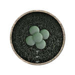 Slate Green,6",Regular,Ceramic Fire Balls