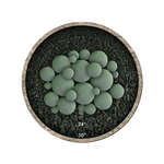 Slate Green,23 Piece Mixed Set,Regular,Ceramic Fire Balls