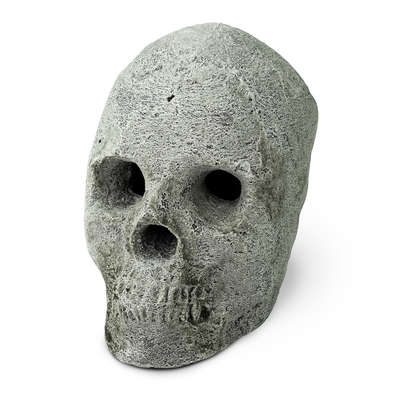 Gray Skull,Ceramic Skulls
