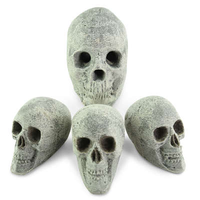 Skulls Bundle,Ceramic Skulls